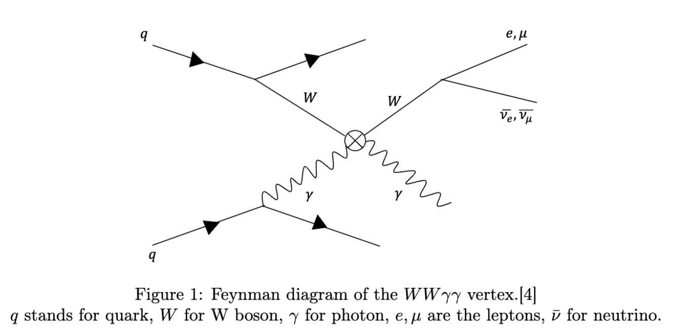 Feynman Diagram of the WWγγ Vertex